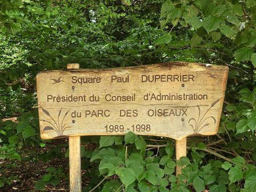 101PARC AUX OISEAUX DANS L AIN 2016 2_000024.jpg
